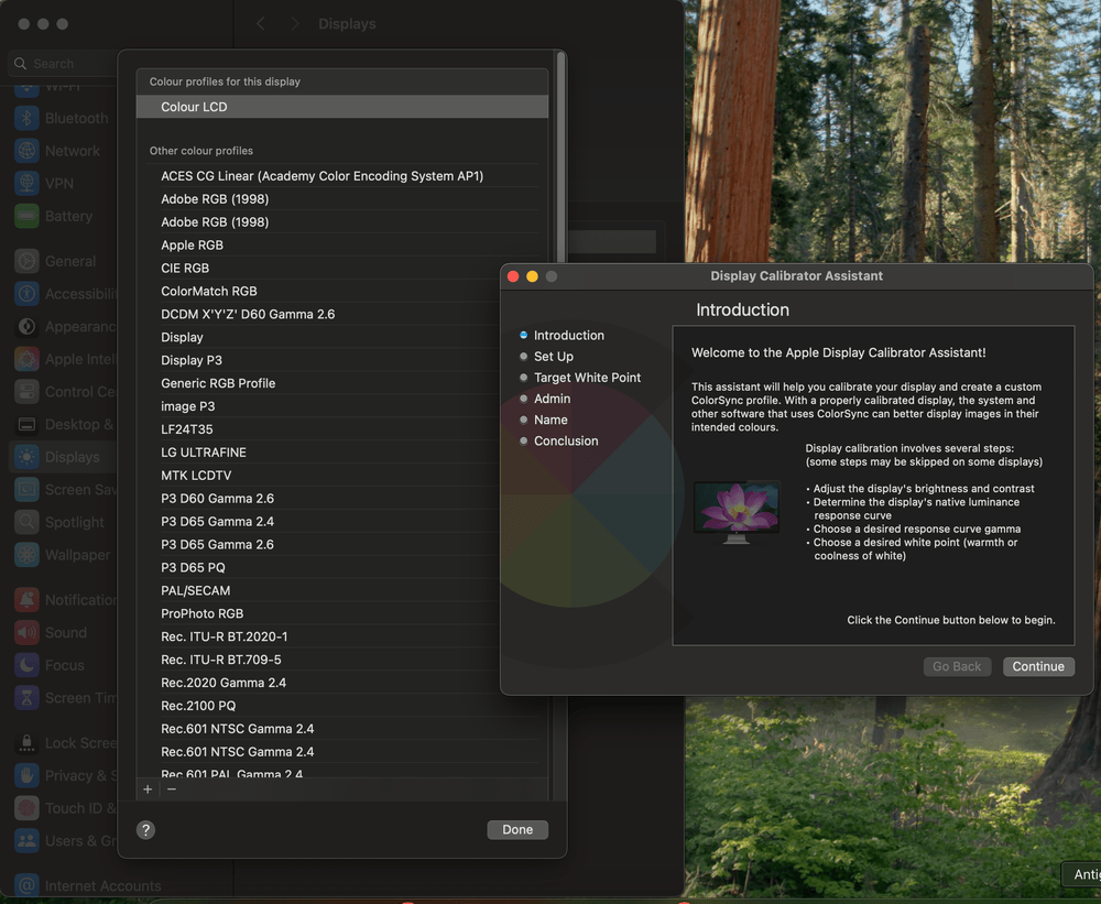 Apple Display Calibrator Assistant introduction window open over the Customize color profiles panel in macOS System Settings