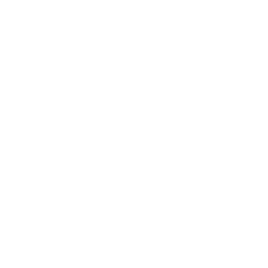 aoc logo
