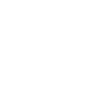 dell logo