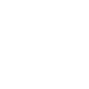 lg logo